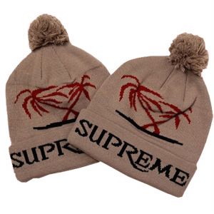Cuff Pom Pom Beanie knit hat